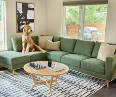Brielle Left-Facing Sectional