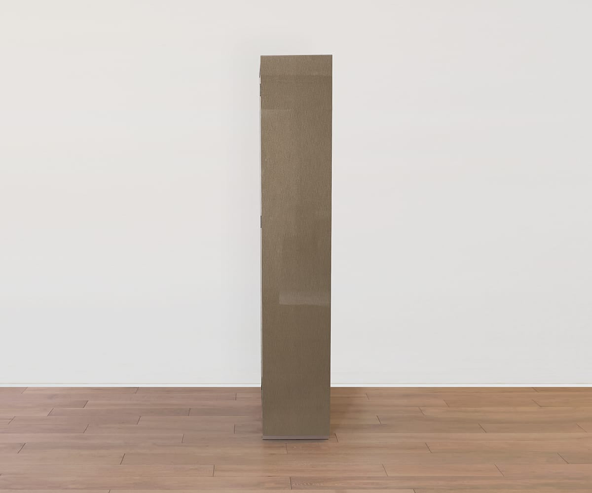 Aversera Bookcase